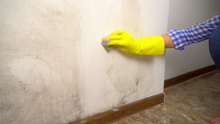 Best Indoor Air Quality Assessment  in Dexter, MO