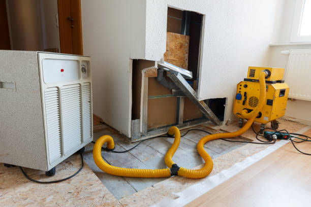 Best Environmental Consulting for Mold Prevention  in Dexter, MO